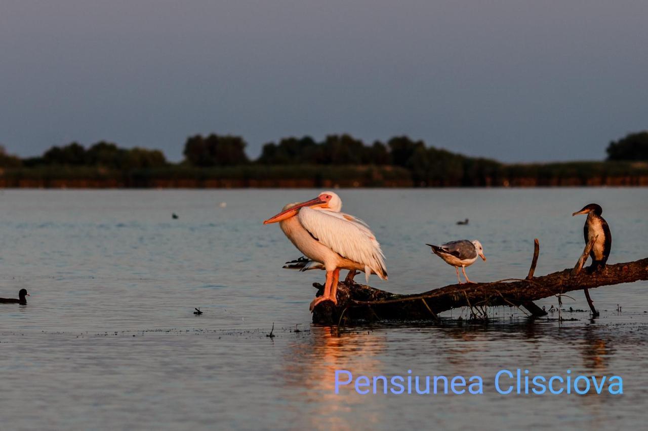 Pensiunea Clisciova Murighiol Extérieur photo